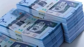 مطالبة بمليون ريال.. اعترافات مثيرة للمتورطين في واقعة اختطاف مسن بالدقهلية